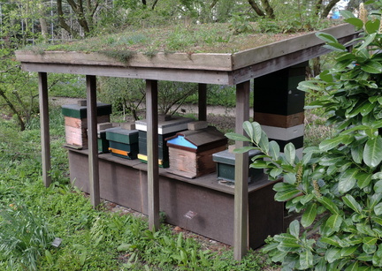 Beehives