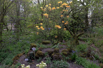 Rockery