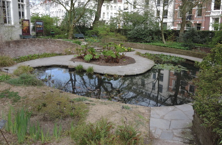 Pond