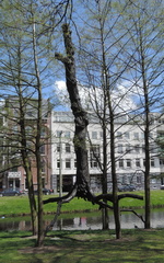 Tree sculpture