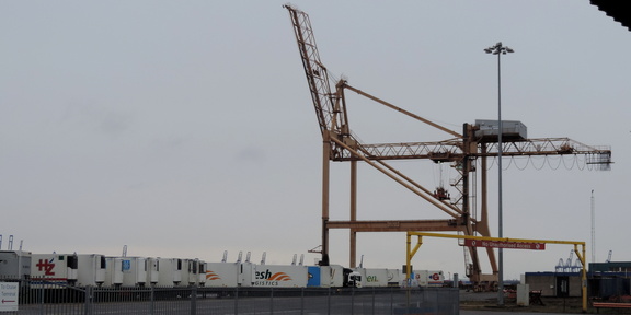 Crane