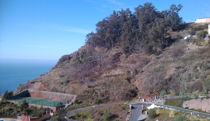 Hillside