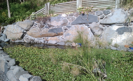 Pond