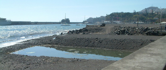 Along the sea front