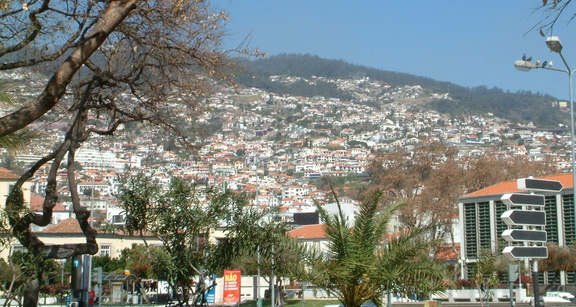 Hillside
