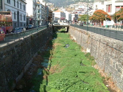 Grassy channel