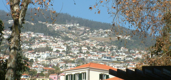 Up the slope