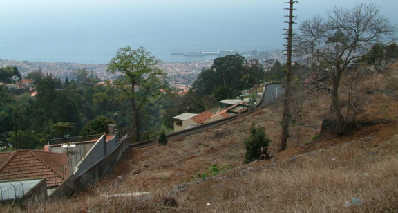 View over Funchal