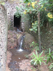 Stream