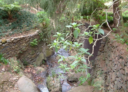 Stream