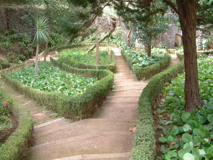 Paths