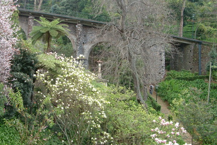 Bridge