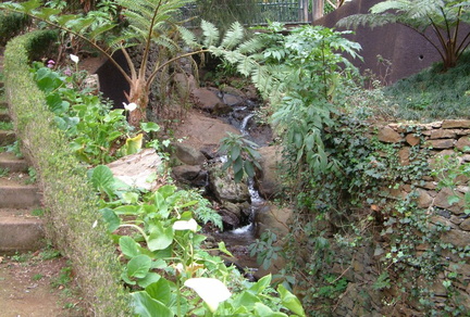Stream