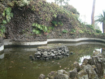 Pond