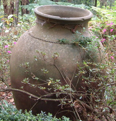 Urn