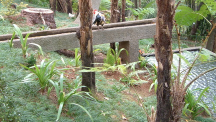 Water feature