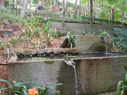 Water feature