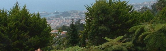Over the trees