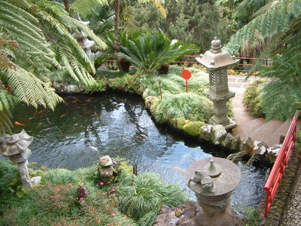 Oriental garden