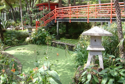 Pond