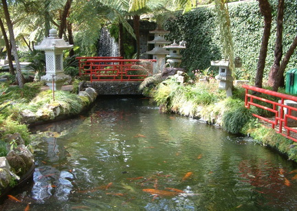 Pond
