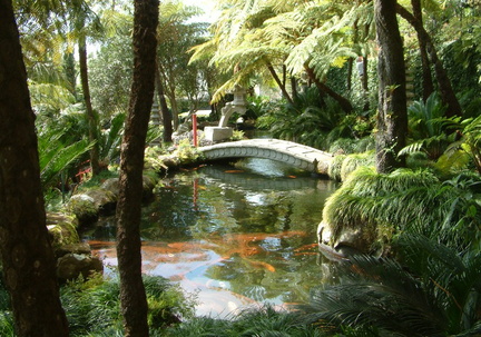 Pond