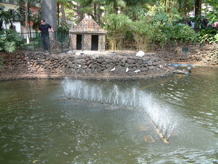 Fountain