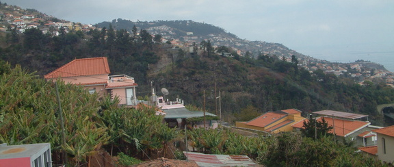 Hillside