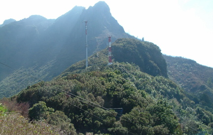 Masts