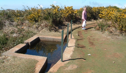 Levada
