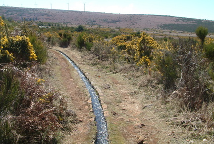 Levada