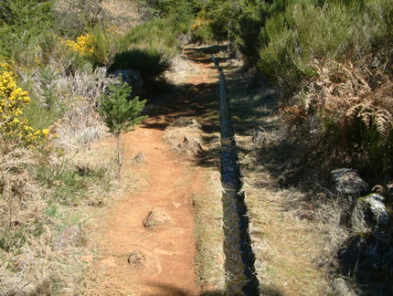 Levada