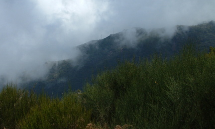 Clouds