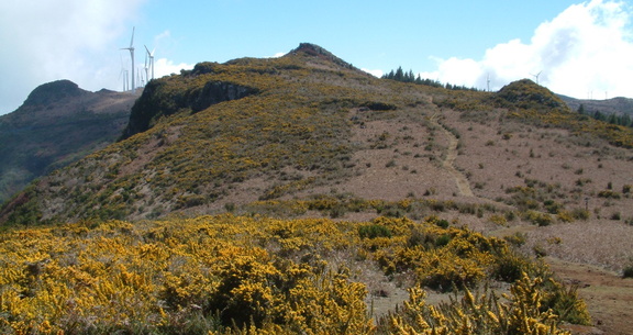 Ridge