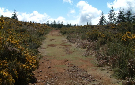 Path
