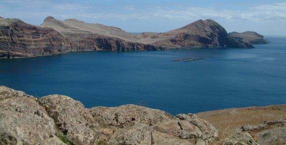 Bay