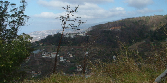 Hillside