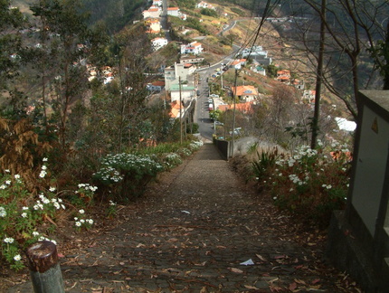 Down the steps