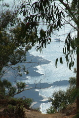 Through the trees