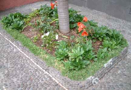 Flower bed