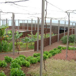 Camara de Lobos