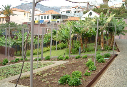Plantation
