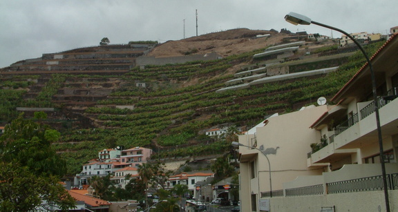 Hillside