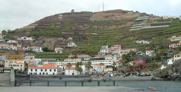 Hillside