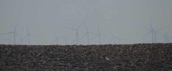 Turbines