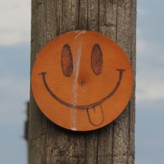 Smiley face