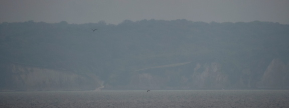 French coast