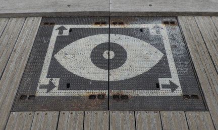 Eye