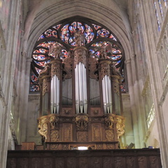 Organ pipes