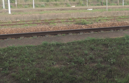 Grassy platforms